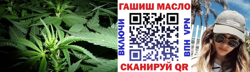 продажа наркотиков  Первомайск  ссылка на мегу зеркало  ТГК концентрат 